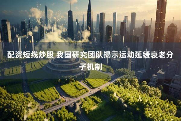 配资短线炒股 我国研究团队揭示运动延缓衰老分子机制