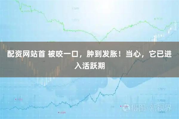 配资网站首 被咬一口，肿到发胀！当心，它已进入活跃期
