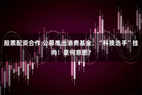 股票配资合作 公募推出消费基金，“科技选手”挂帅！是何意图？